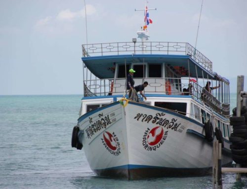 Thailand plans tourism restart on selected islands