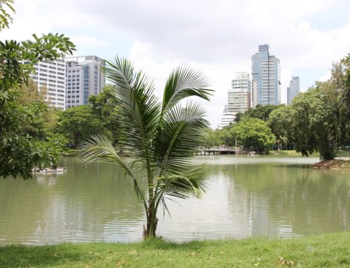 Lumphini Park – Relaxen in Bangkoks grüner Oase