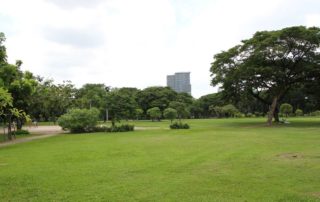 Lumphini Park beliebter öffentlicher Park in Bangkok